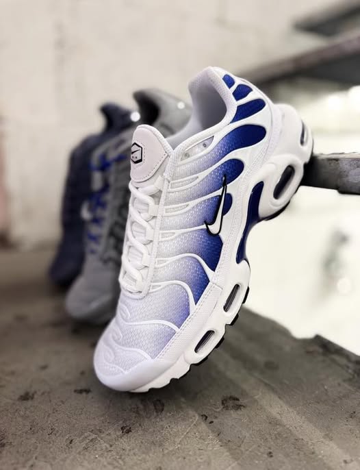 NIKE AIR MAX PLUS PURPLE