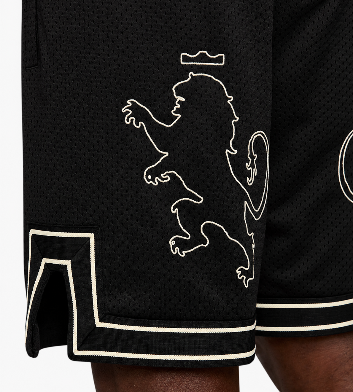 NIKE LEBRON JAMES LION KING
