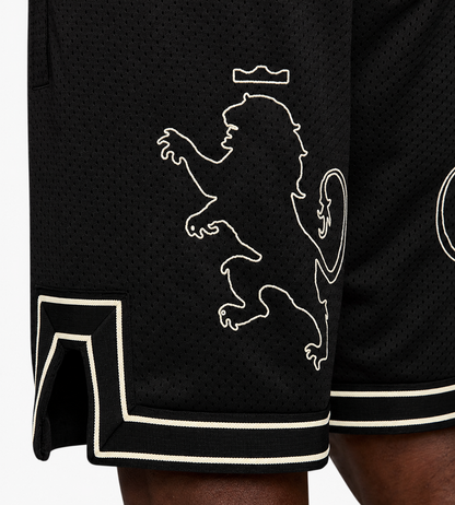 NIKE LEBRON JAMES LION KING