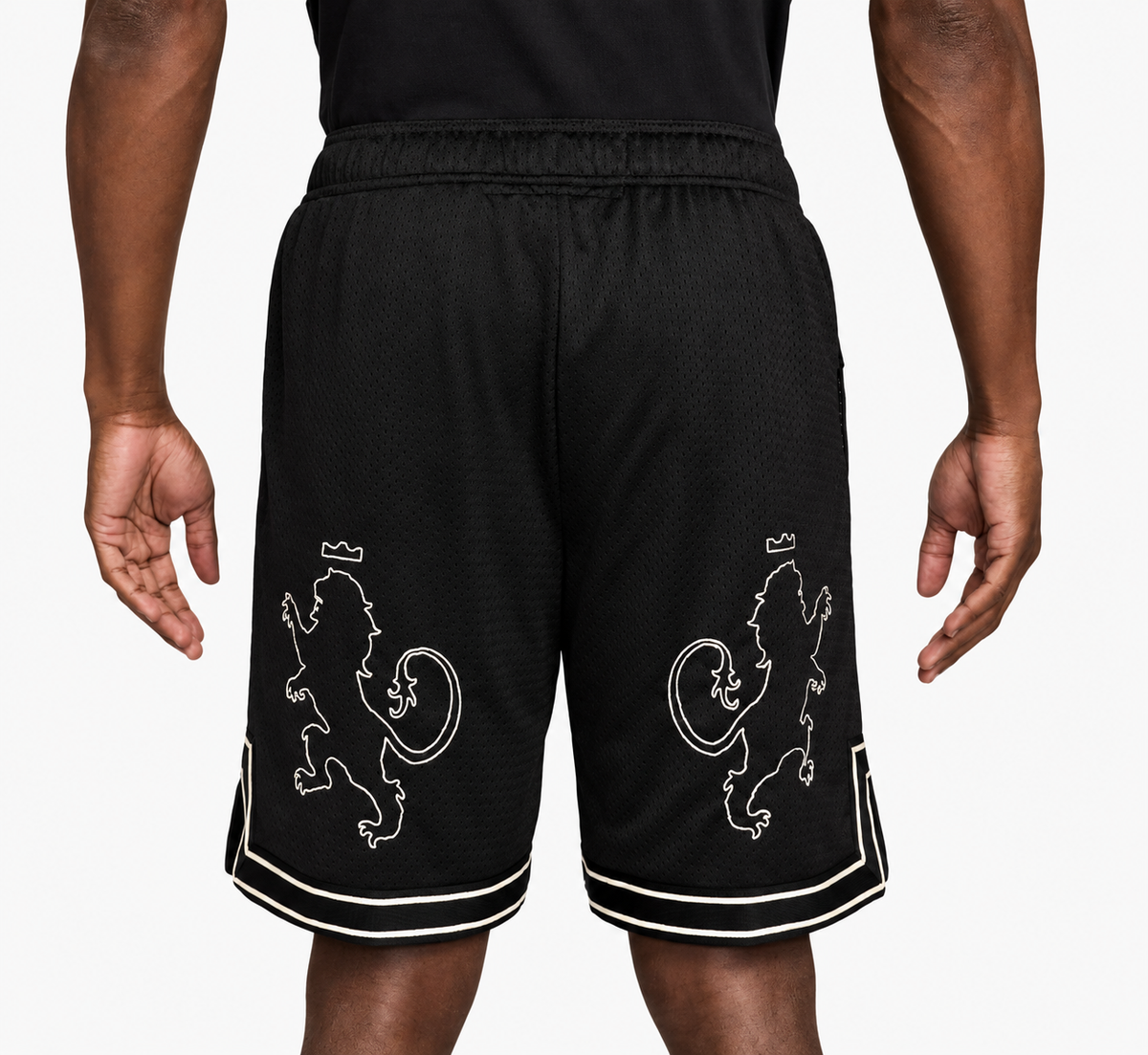 NIKE LEBRON JAMES LION KING