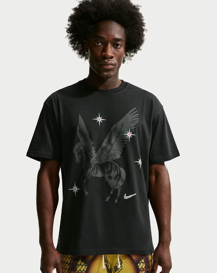 NIKE NOIR PEGASO