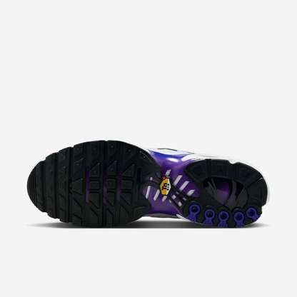 NIKE AIR MAX PLUS PURPLE